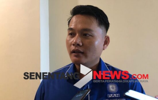 Pemerintah Diminta Cari Solusi Penyakit Gugur Daun Karet di Desa Tanjung Balai